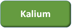 Vorkommen, Häufigkeit, Isotope, Bedeutung von Kalium 