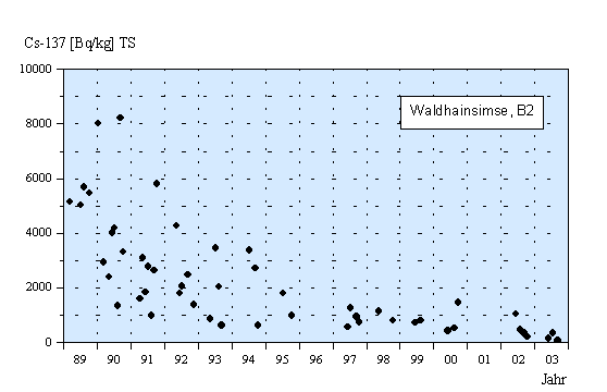 Cäsium-137 Kontamination von Hainsimse (Luzula sylvatica), Messwerte