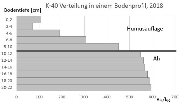 Tiefenverteilung der spezifischen Aktivität von Kalium-40 in einem Waldbodenprofil, Entnahme 2018